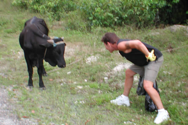 Volunteers Clean-Up Roadside Entrance to Negril - Negril Travel Guide